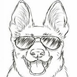 Avatar de Usuario